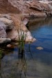 images/albums/Superstition Wilderness/D10041301.jpg